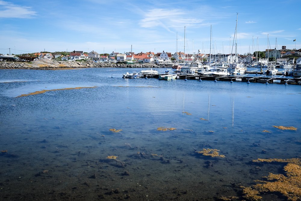Vandring runt Vrångö i Göteborgs södra skärgård